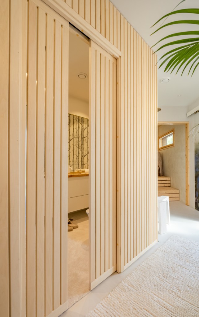 Schuifdeur in de wand voor elk interieur | Liune Door